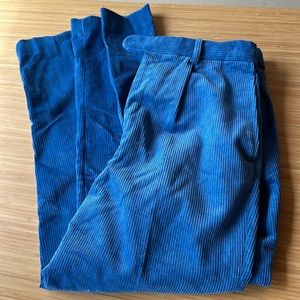 Peter Christian Gentlemen’s Outfitters Corduroy Pants Blue Men’s Sz 36x29